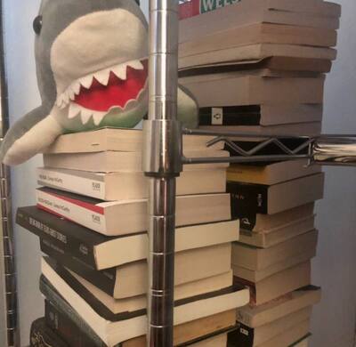 the shark is named Bleppy.
