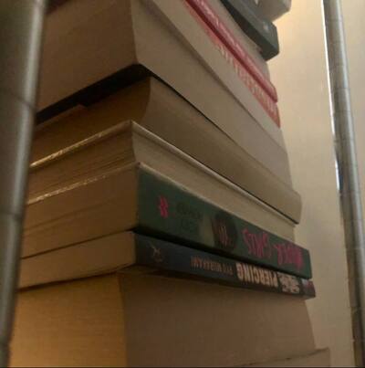 I turn my books upside down when I don't want to risk anybody seeing them.